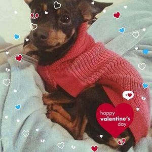 Meet your Posher, Cheryll